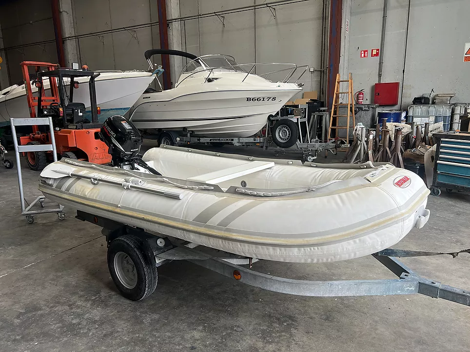 SUZUMAR MX-310/0RIB + SUZUKI DF6 (2008)